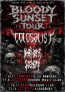 koncert