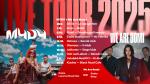 koncert
