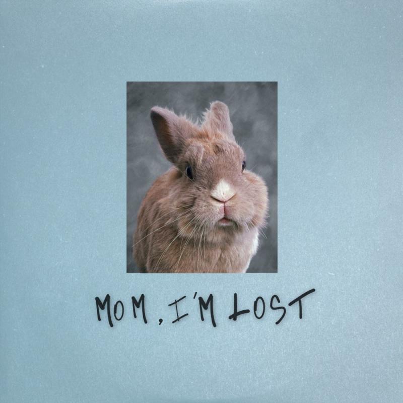 Pam Rabbit-Mom, i’m lost