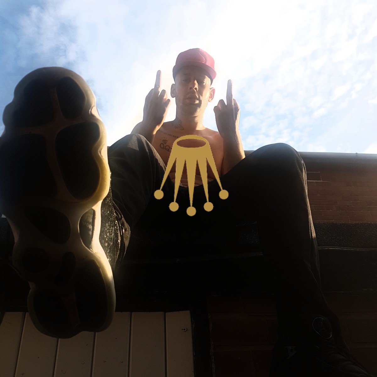 Proc cigan jede stoku