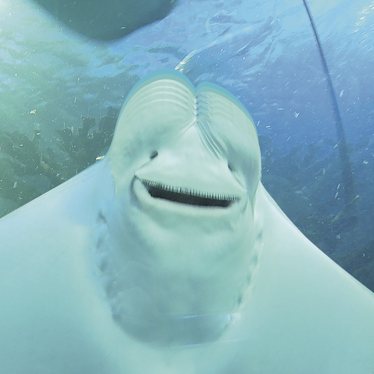 Give masterpiece a chance! 