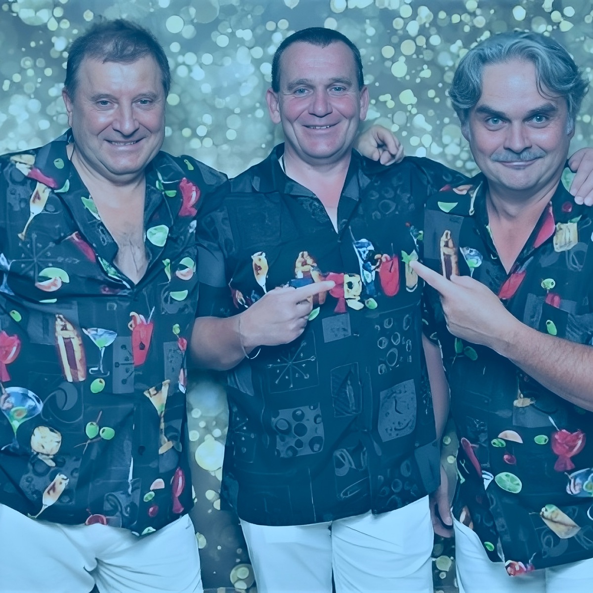 Party u Dušana Hergota