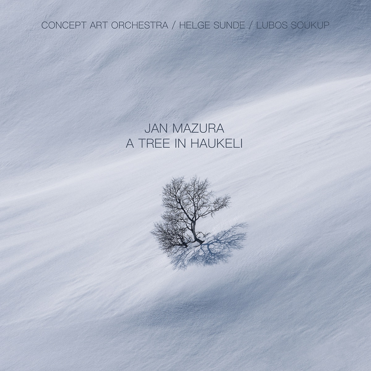 A tree in haukeli (feat. Concept Art Orchestra, Luboš Soukup, Helge Sunde, Štěpánka Balcarová, Epoque Quartet, Jan Mazura & Małgorzata Hutek)