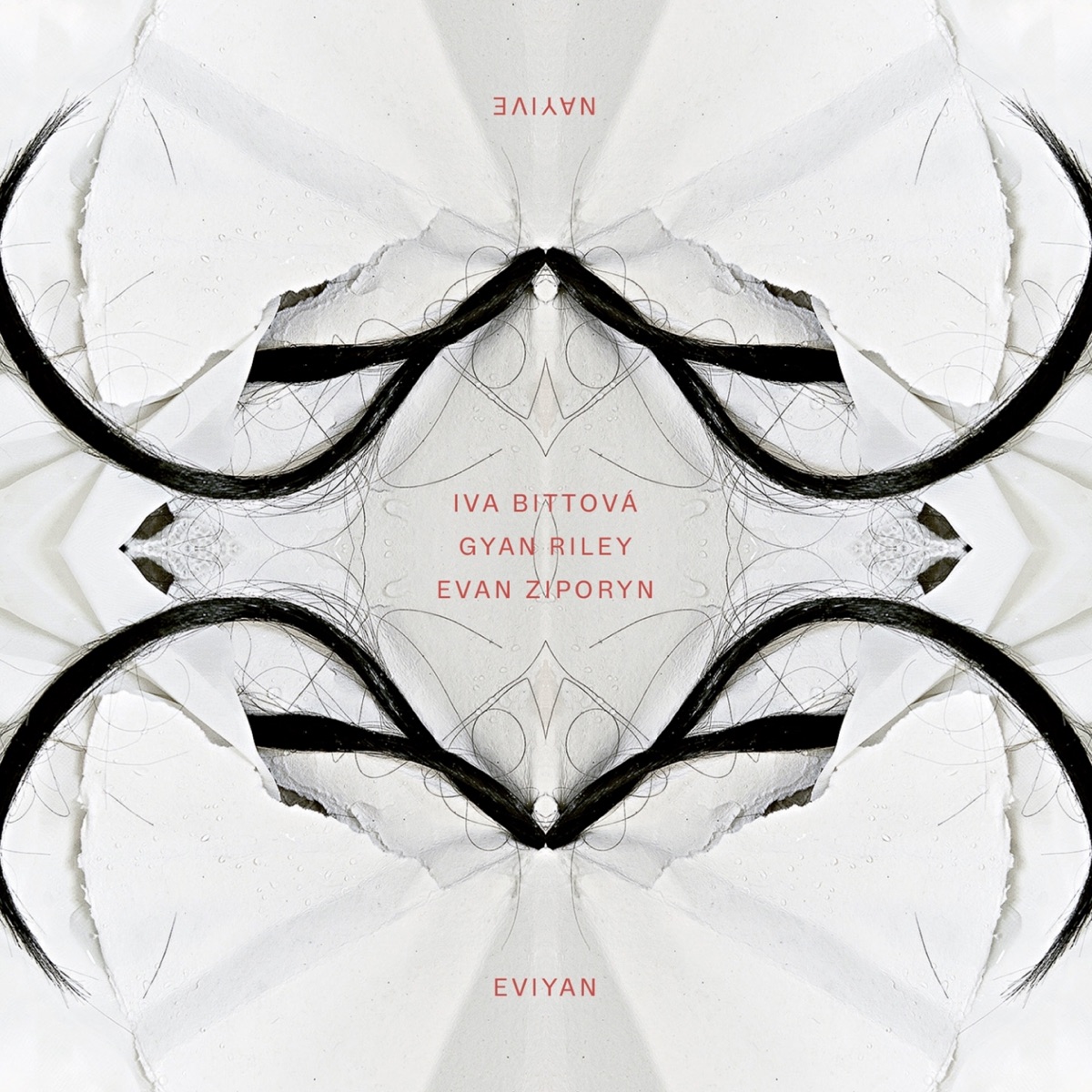 Eviyan - Nayive (feat. Evan Ziporyn, Gyan Riley)