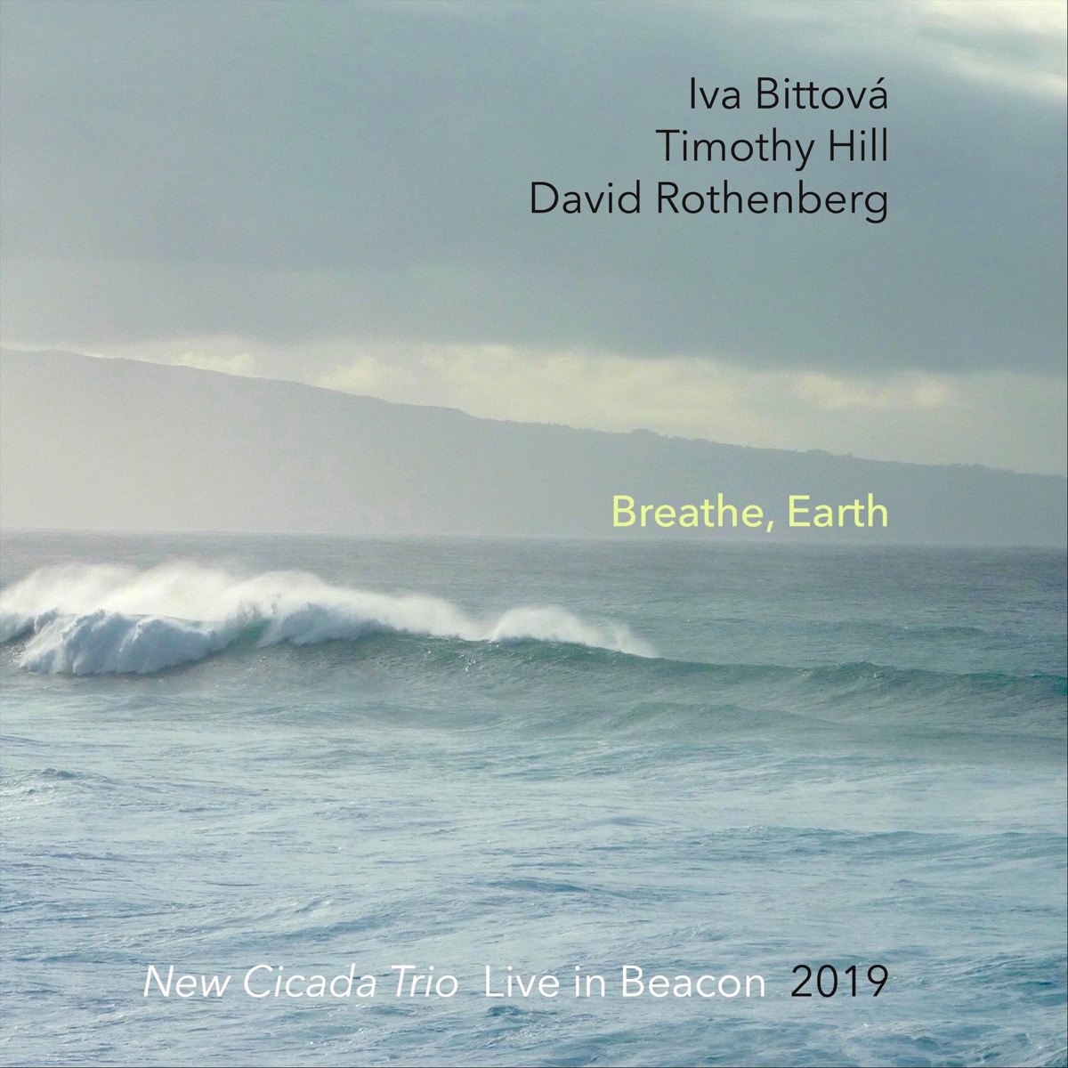 Breathe, earth: new cicada trio live in beacon 2019 (feat. Timothy Hill, David Rothenberg)