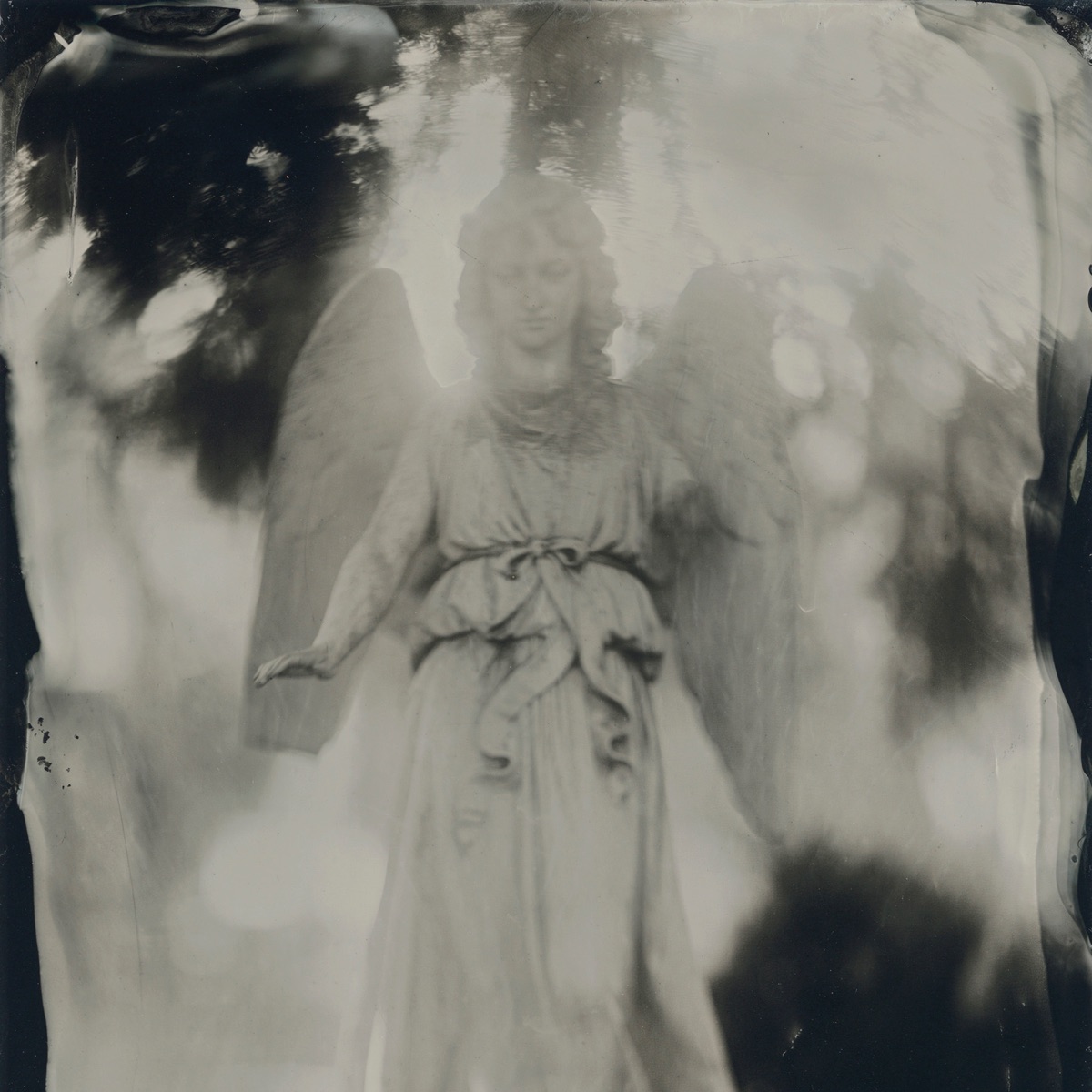 Among the living (feat. Siggi String Quartet & Aida Shahghasemi)