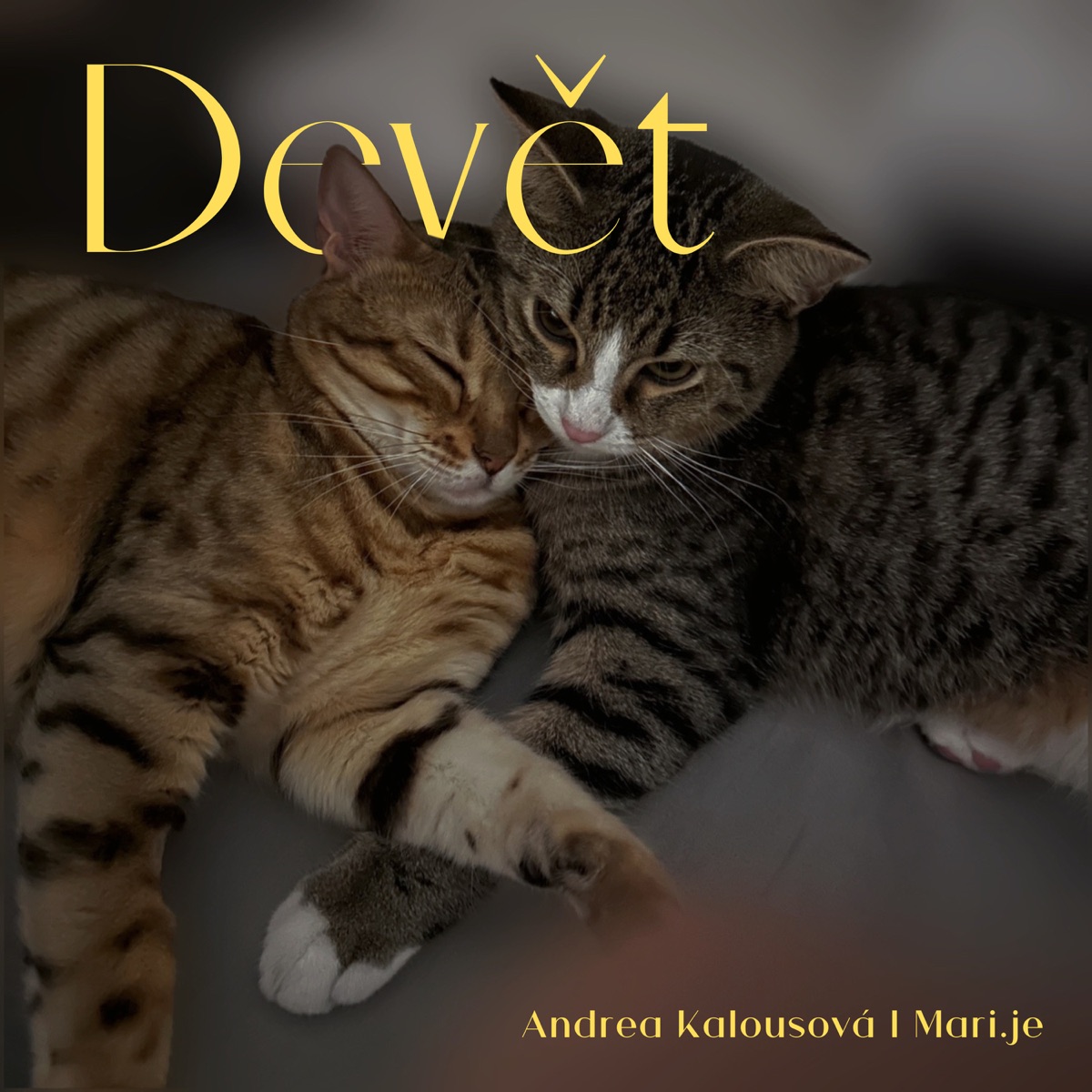Devět (feat. Mari.je)