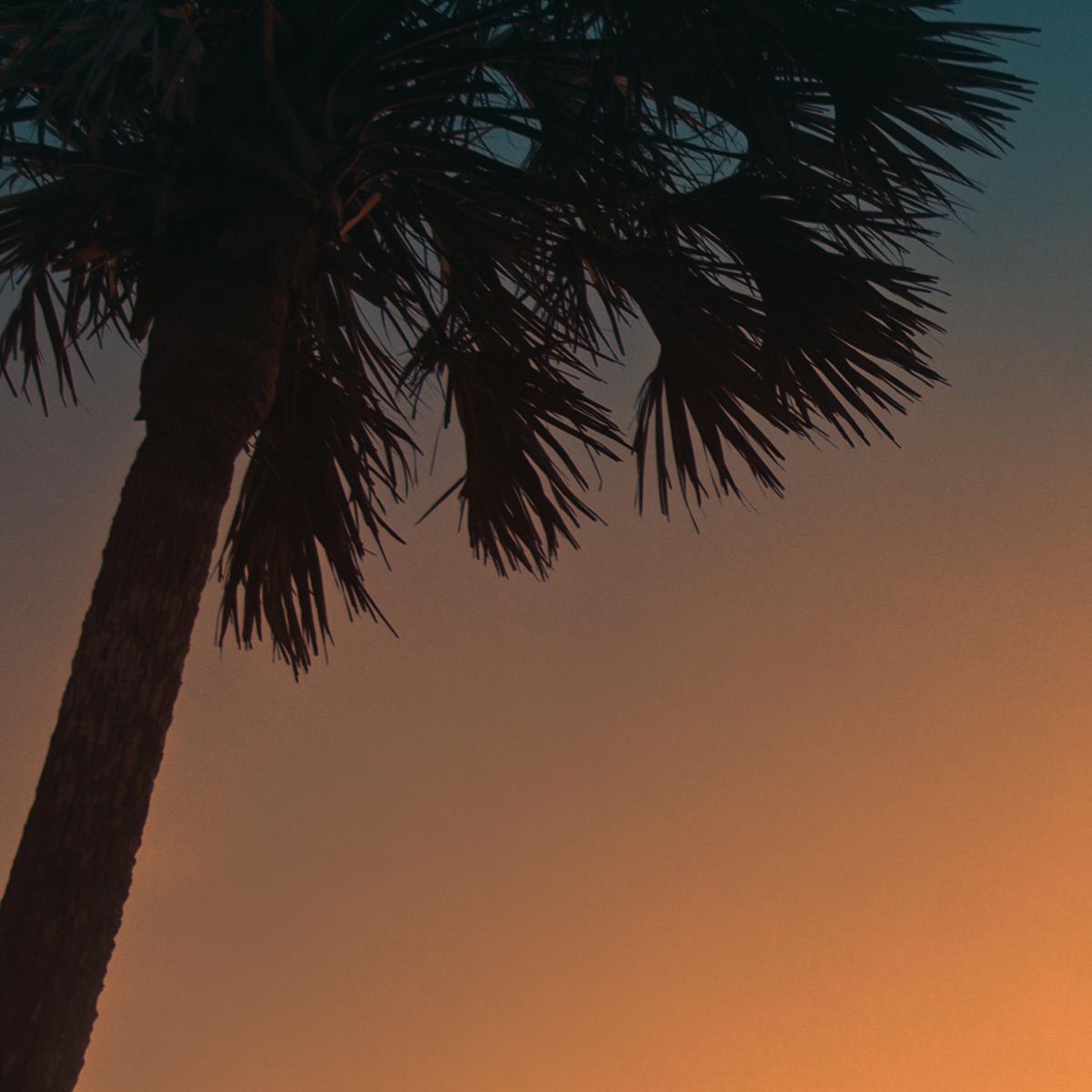 Cítim sa slobodne (feat. Michaela Hanudelova)