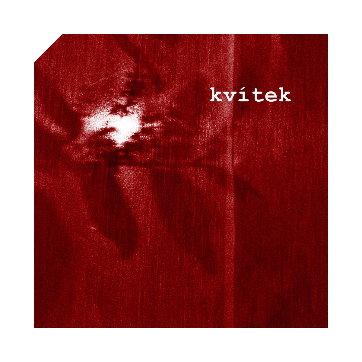 Kvítek