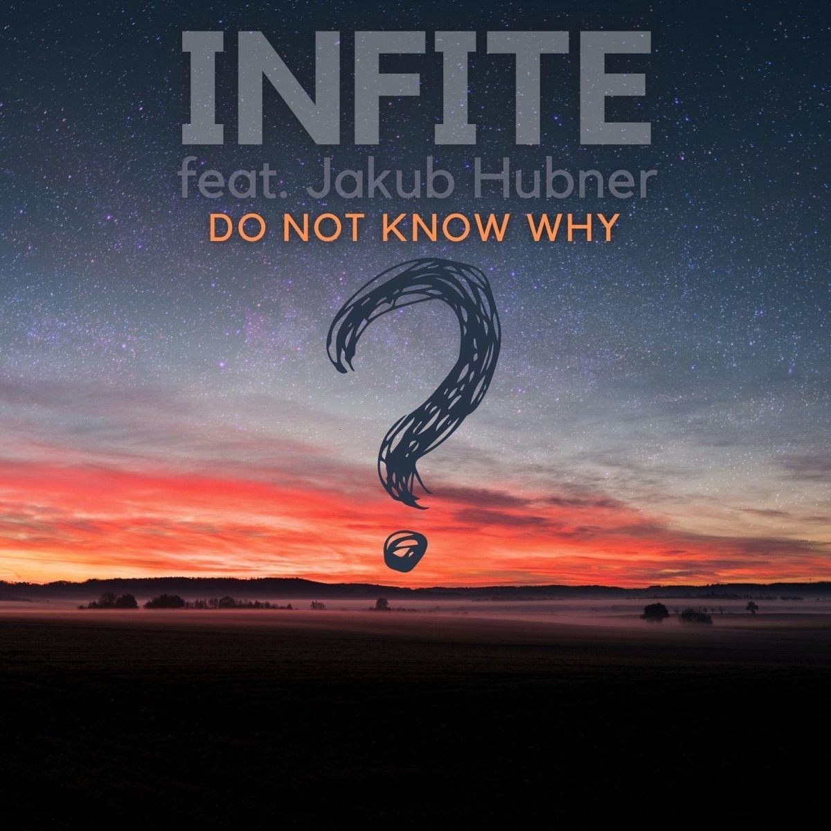 Do not know why (feat. Infite)