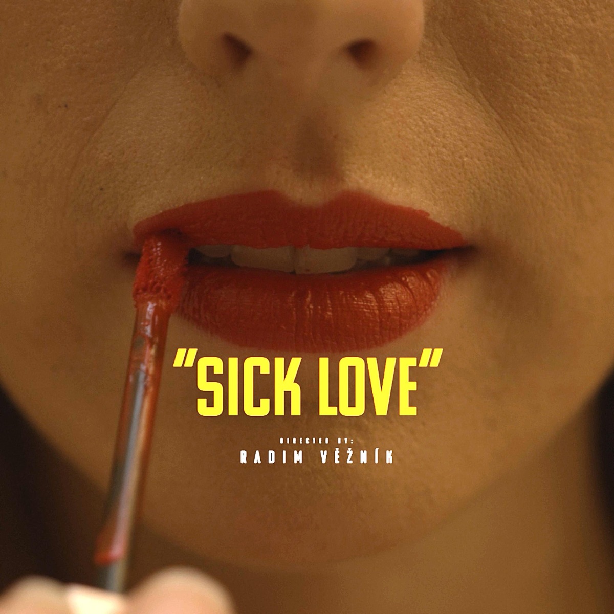 Sick love (feat. Hanka Kosnovská) [video edit]