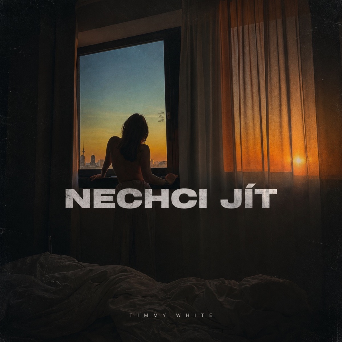 Nechci jít