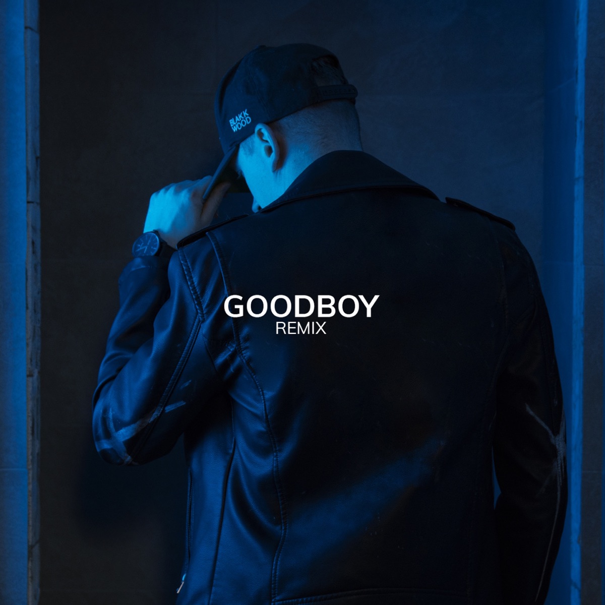 Goodboy (remix)