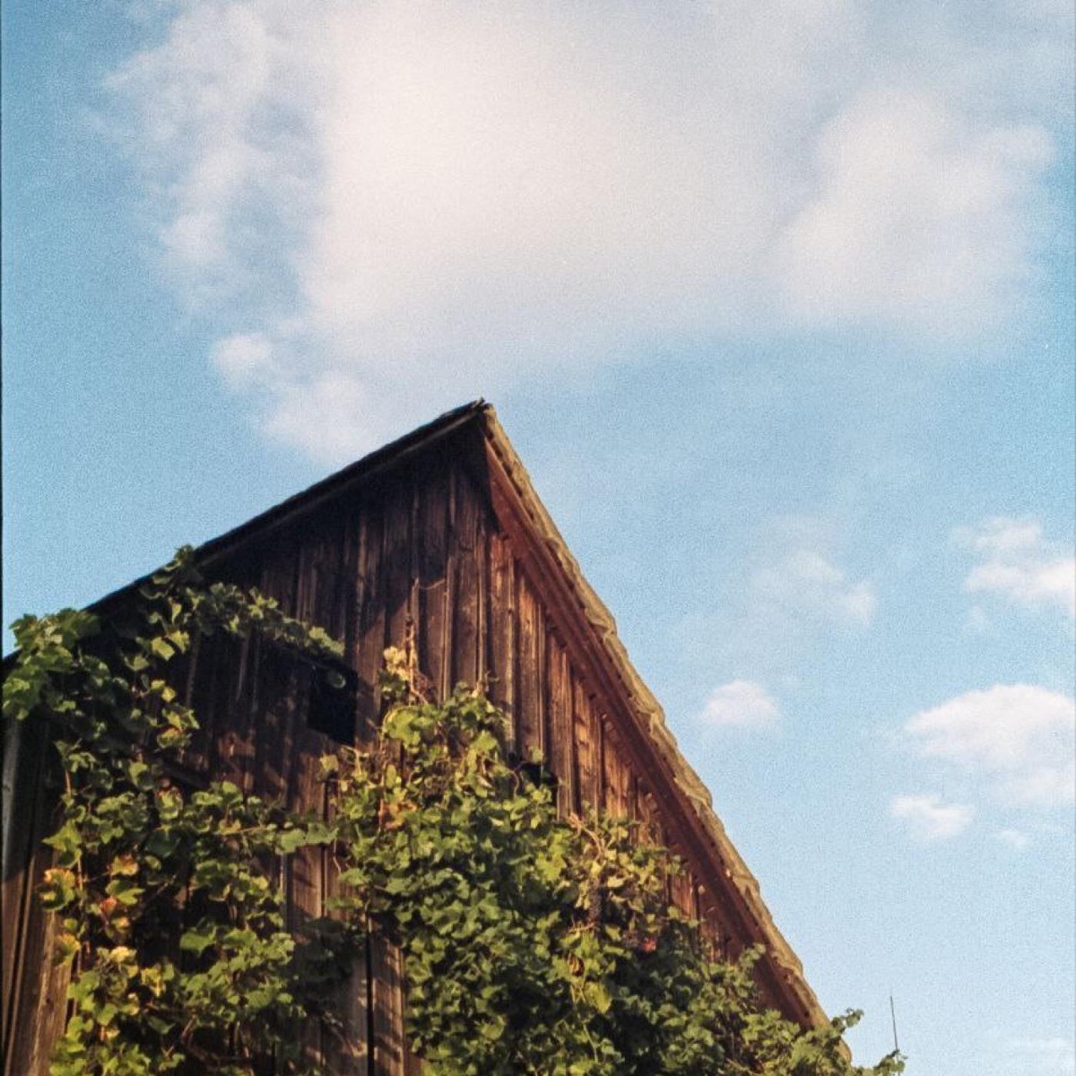 The house