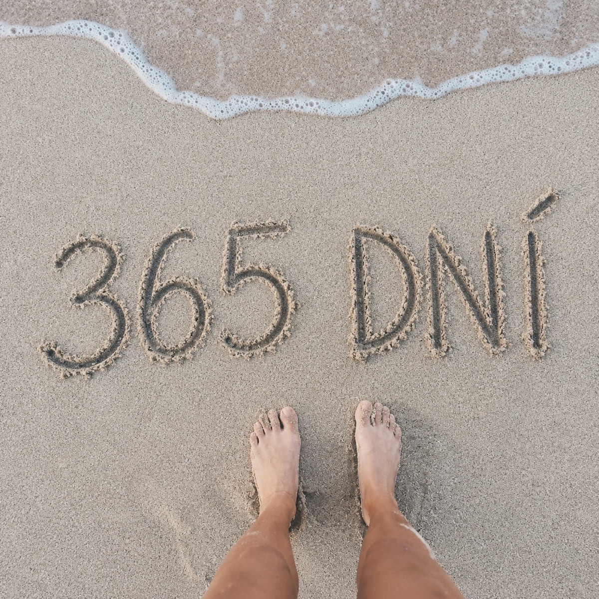 365 dní (feat. Nicole)