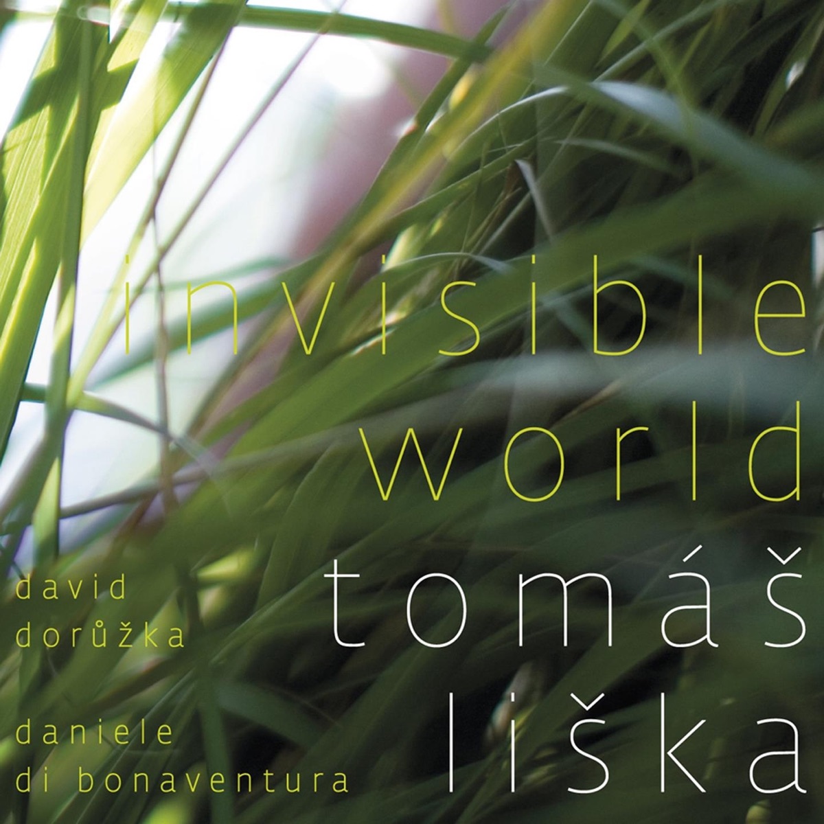 Invisible world