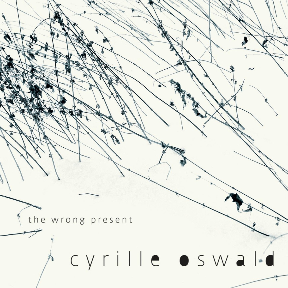 The wrong present (feat. David Dorůžka, Cyrille Oswald & Daniel Šoltis)