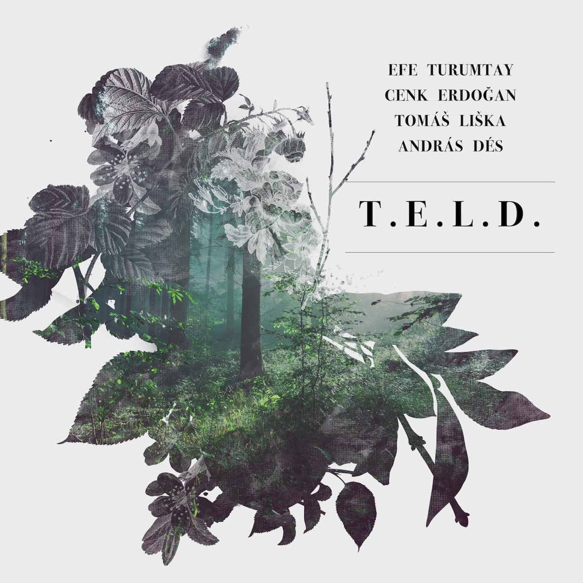 T.e.l.d. (feat. Efe Turumtay, Cenk Erdoan, T.E.L.D. & András Dés)