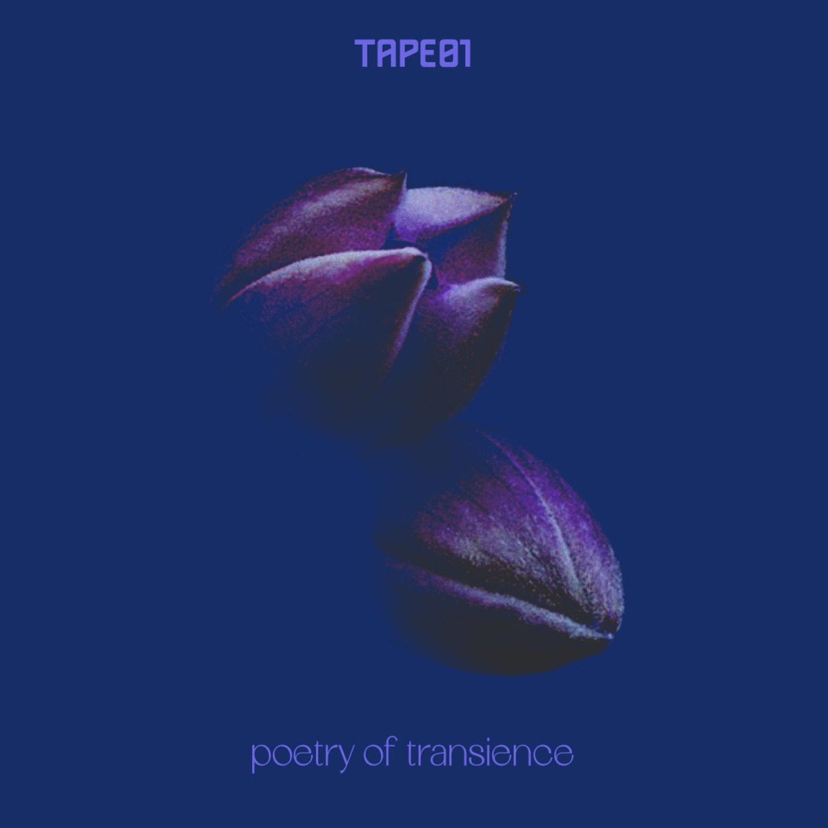 Poetry of transience