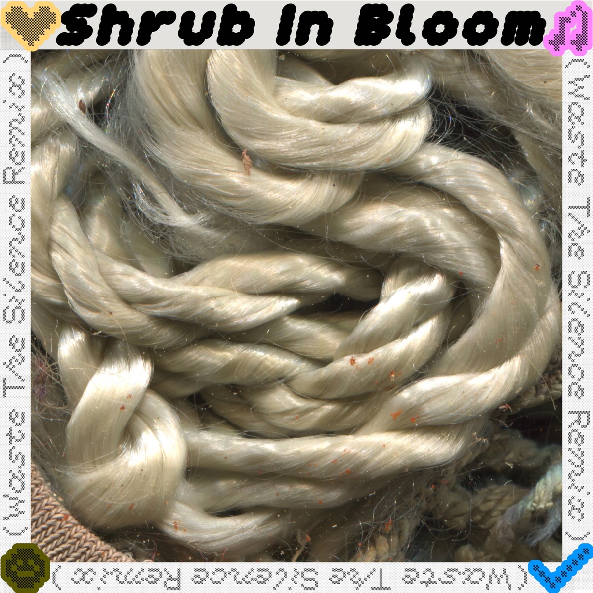 Shrub in bloom (waste the silence remix)