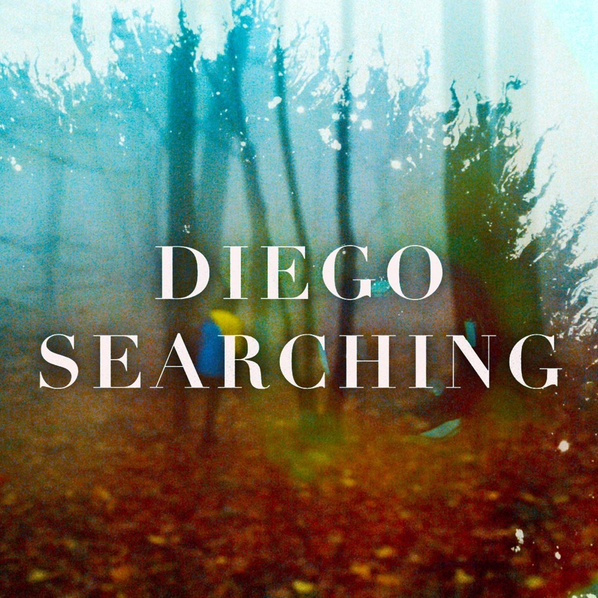 Searching