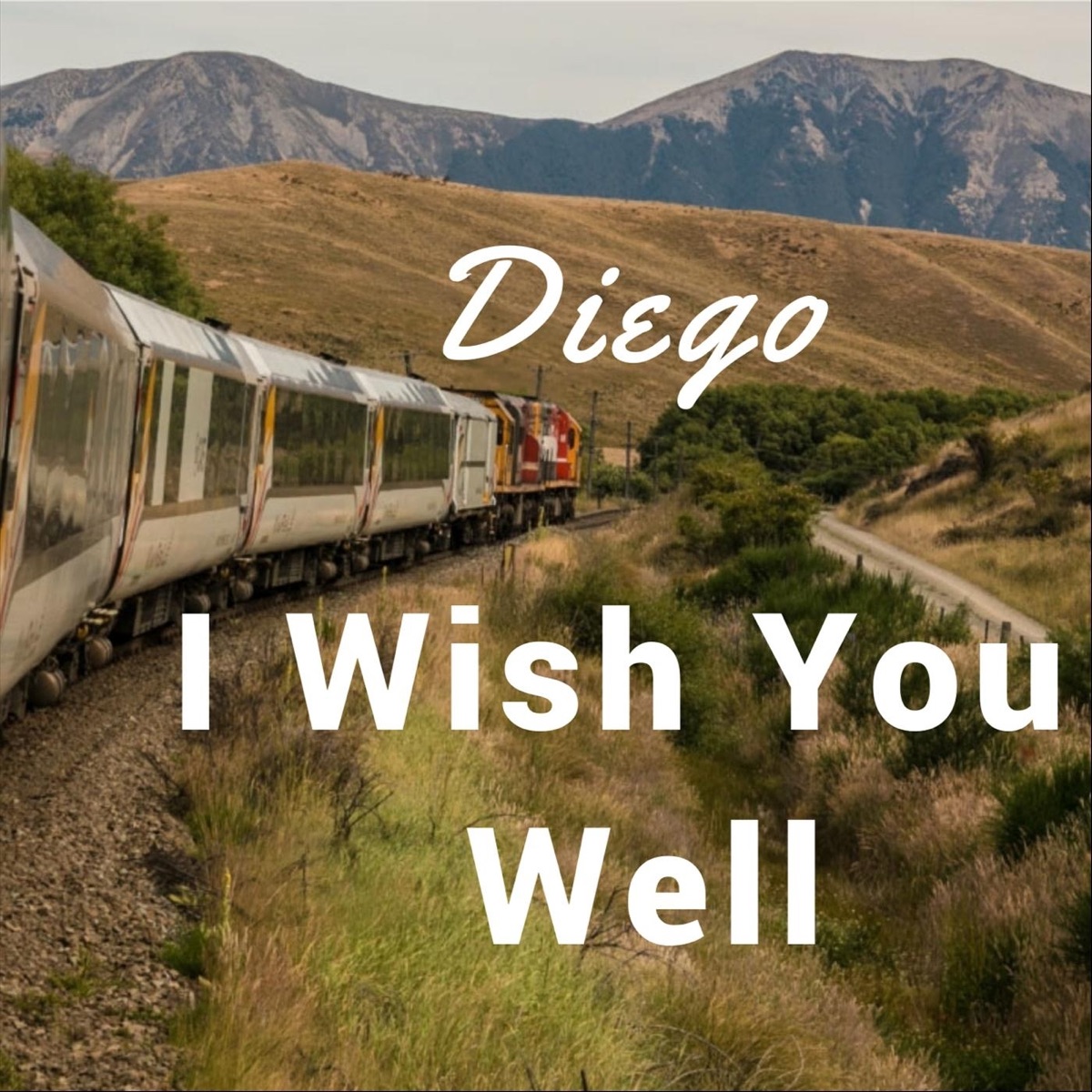 I wish you well