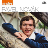 Pavel Novák-Pop galerie