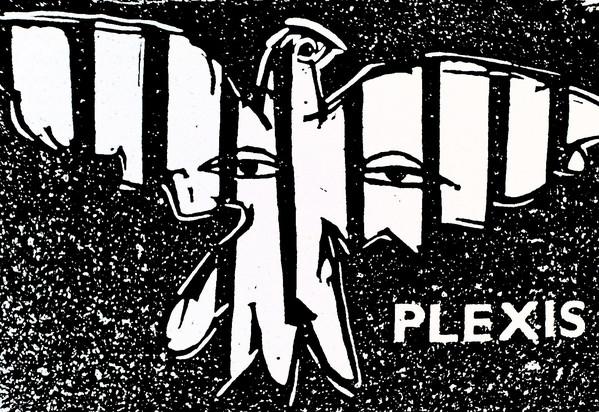 Plexis-Demo 1989