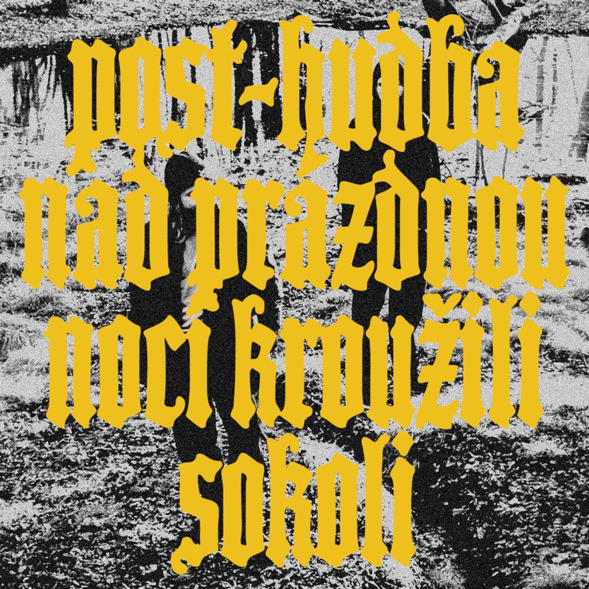 Nad przdnou noc krouili sokoli