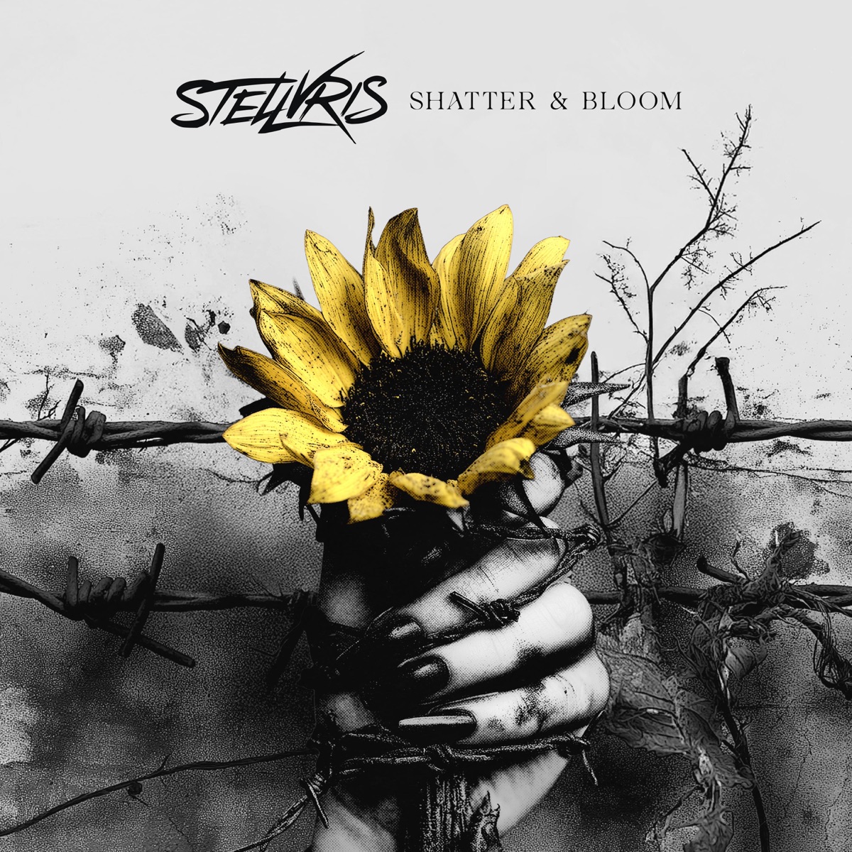 Shatter & bloom