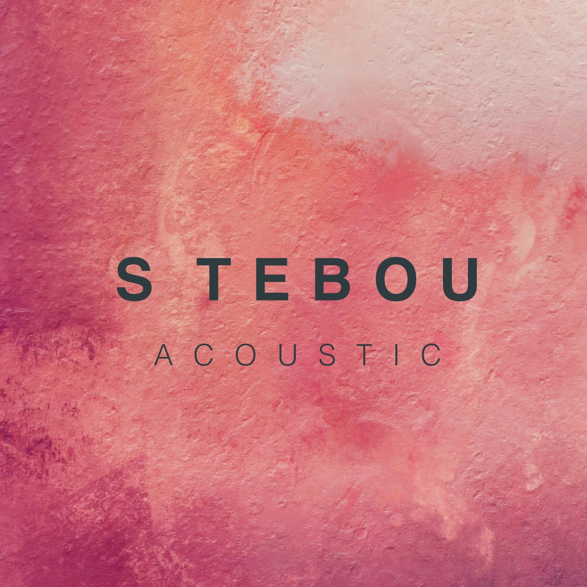 S tebou (acoustic)
