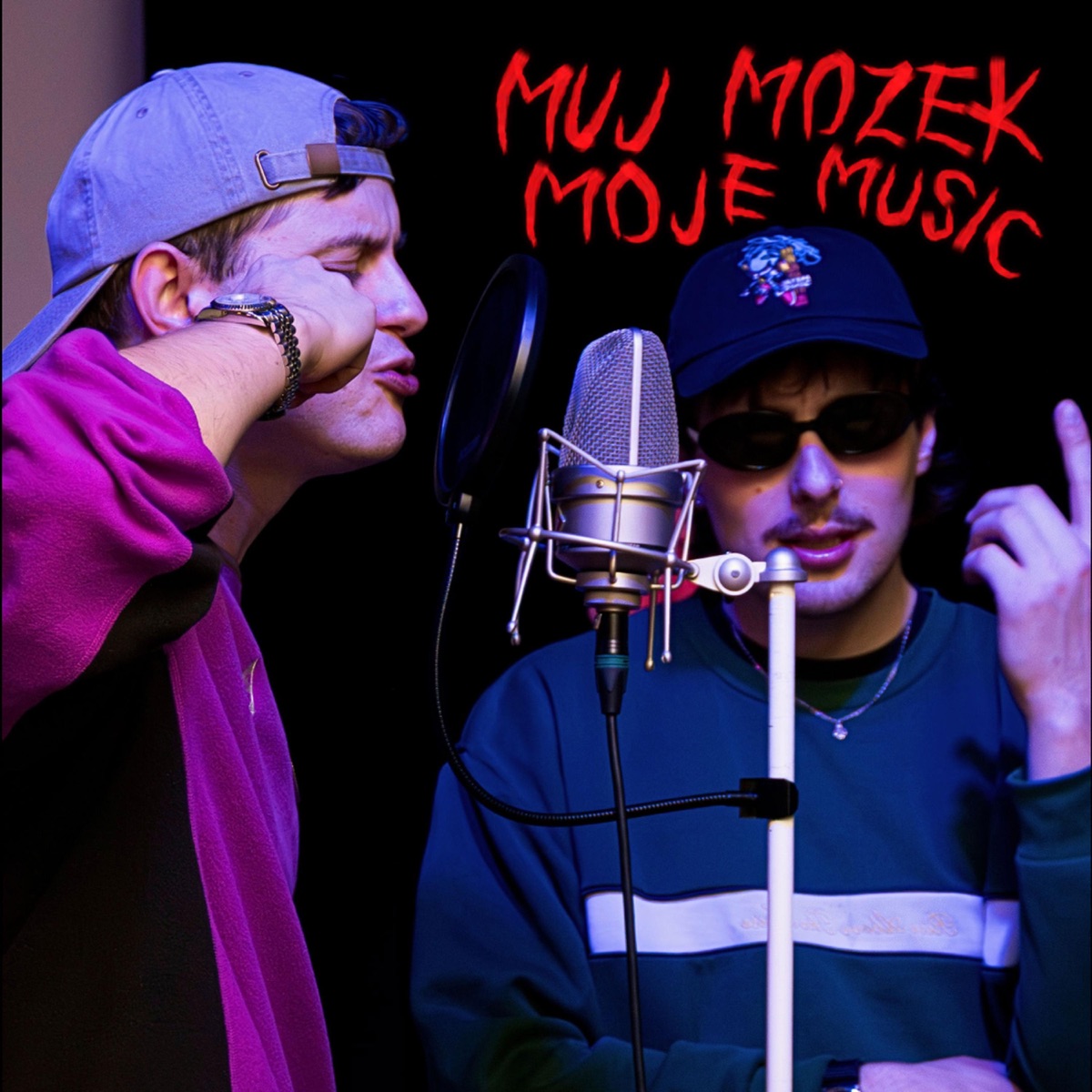Muj mozek moje music (feat. St��brn� Rafael)