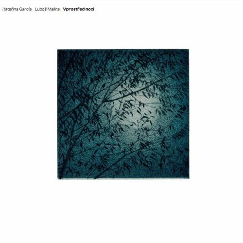 Debut české supergroup Vprostřed noci vznikal 10 let.  Za projektem stojí Luboš Malina, Kateřina García, Steve Walsh, Jakub Vejnar, Tomáš Liška a Kamil Slezák.